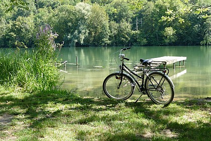 骑自行车沿塞纳河游 - 从Bois-le-Roi到Moret-sur-Loing