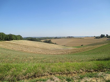 Le Chemin De Larrazet