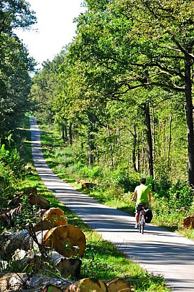 The greenway between Saint-Dizier and the Der Lake