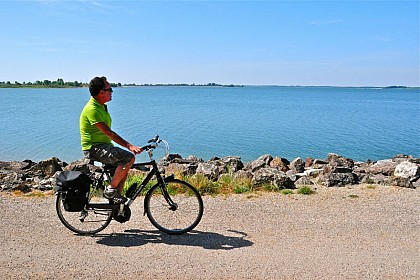 Le tour du Lac du Der