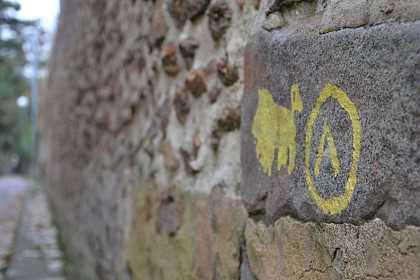 The 3 wild boars stroll in Saint-Chéron - yellow route