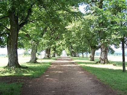 Circuit VTT n°61 - Panorama de la Chapelle Sainte-Anne - Vesoul - Val de Saône