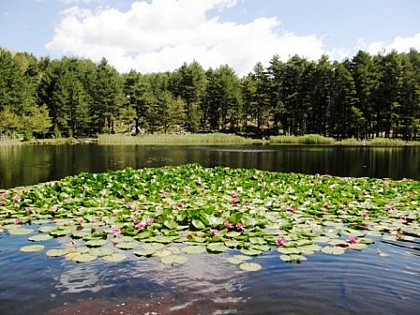 Balade autour du Lac de Crenu