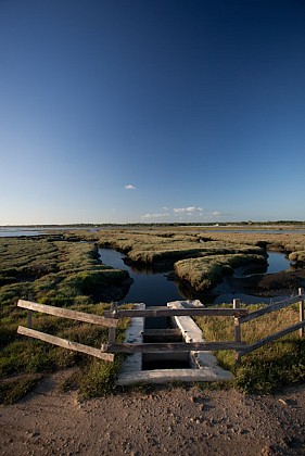 Randonnée pédestre Domaine de Graveyron à Audenge sur le Bassin d'Arcachon ‎