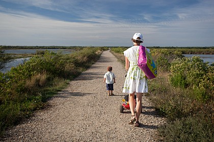 Randonnée pédestre sur le Domaine de Certes à Audenge sur le Bassin d'Arcachon ‎