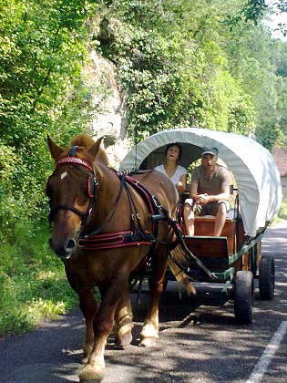 Circuit en chariots western dans le Lot