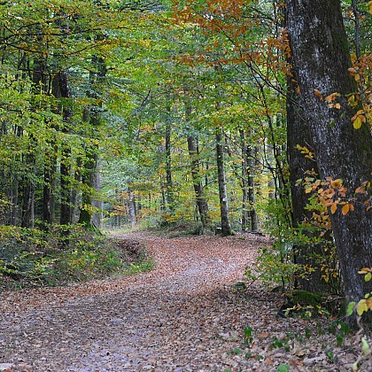 XT 11 - Le Crochémont