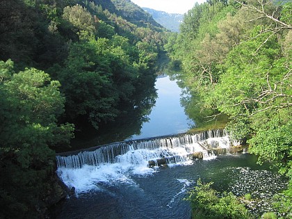 Les berges de la Vis