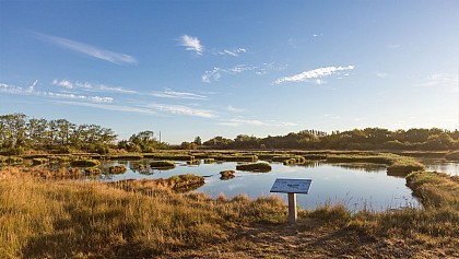 Le Marais de la Foye - Les Sables d'Olonne