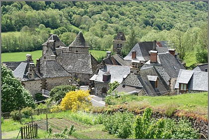 PR Le bois du Vaulmier - 10 kms