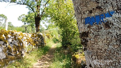 PR La Montagnoune - 4 kms