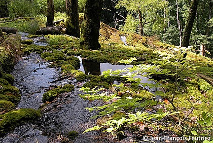 The Tuffeau Quarry of Rolampont