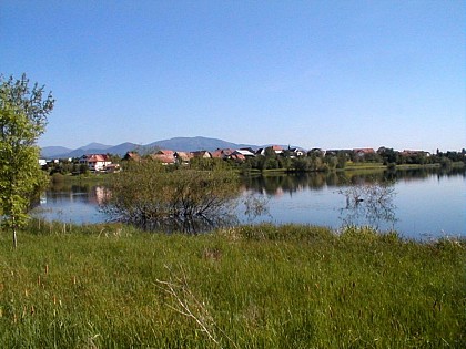 Le circuit du barrage de Michelbach