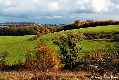 Les 4 Saules