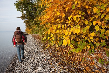 Sentier de la pinède