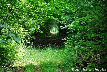 Autour de la Forêt d’Arc