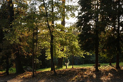 La Vallée de Chevreuse en Essonne