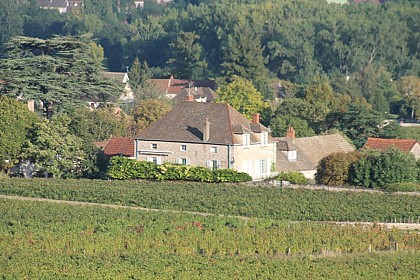Saint Martin Sous Montaigu : SM2 Des premiers crus au village