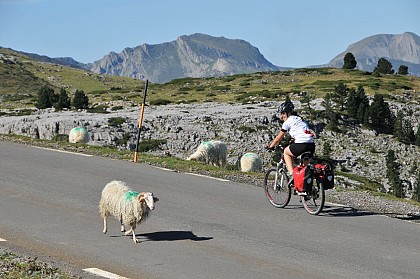 Le col de la Pierre-Saint-Martin depuis Licq-Athérey