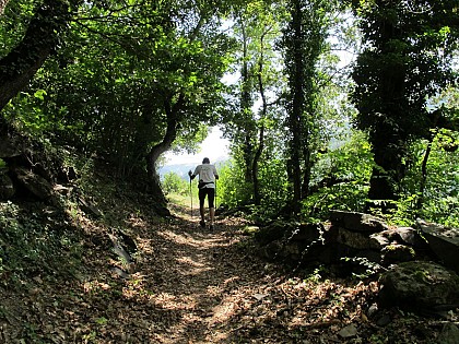 Hamlet trail loop