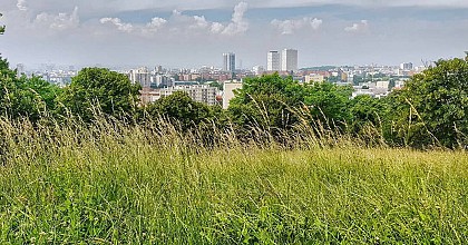 PR 8 - La boucle des 3 parcs