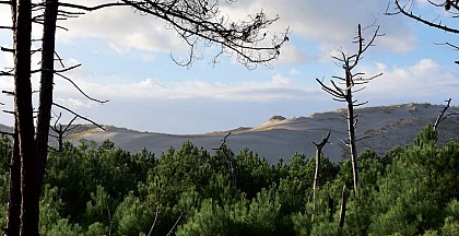 Parcours équestre de Lacanau