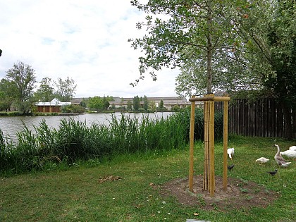 Balade à roulettes : Le parc des étangs