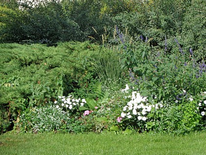 Balade à roulettes : Parc Castel