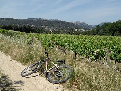 Le Plateau de Gargamiane - Aubignan