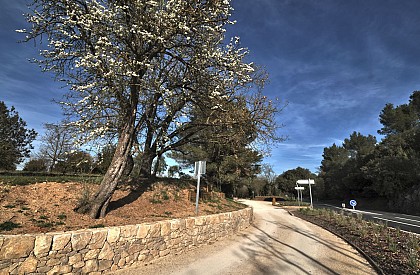 LA ROQUE D'ANTHÉRON - Parcours nature entre garrigue et pinèdes