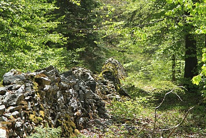 The Trail of the Boundary Stones