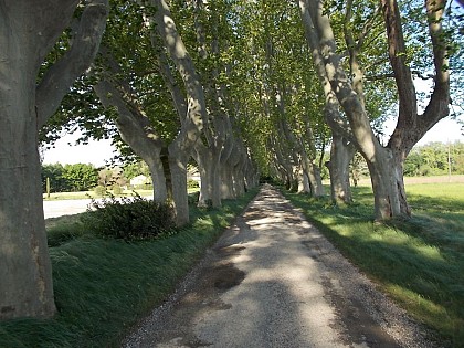 Circuit des Châteaux-Sarrians
