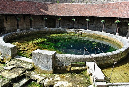 Forêt de Tonnerre