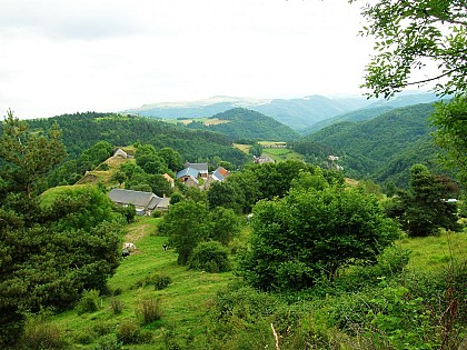 Le Puech