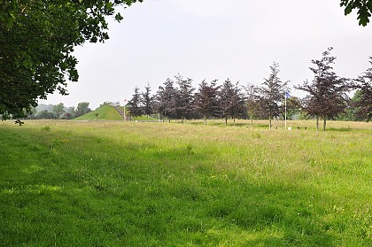 La plaine au bois