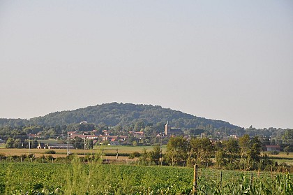 Circuit of the green countryside.