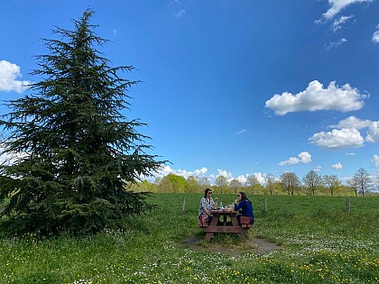 Walking trail "La Baraudière"