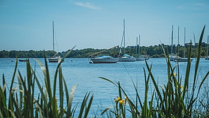 Walking trail "Ile de Mazerolles"