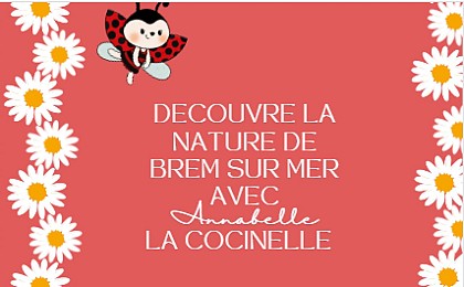 DÉCOUVRE LA NATURE DE BREM AVEC ANNABELLE LA COCCINELLE À PIED