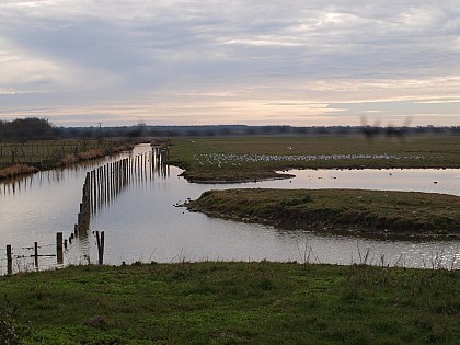 Sentier pédestre Les Ardillers