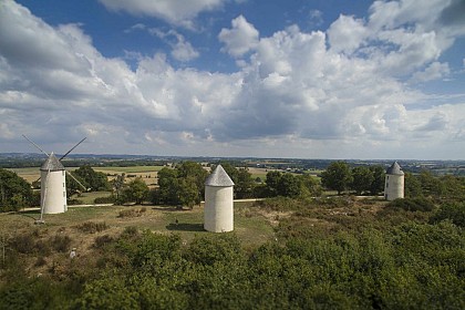 CIRCUIT PÉDESTRE LE SENTIER DES MEUNIERS