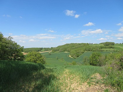 Sentier des Coteaux St-Julien du Puy et Montdragon
