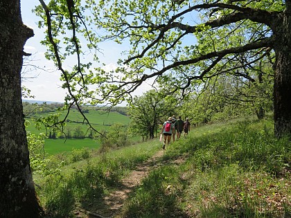 Sentier des coteaux
