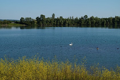 Balade des Olivettes