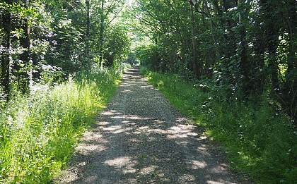 Circuit d'Anthenaise