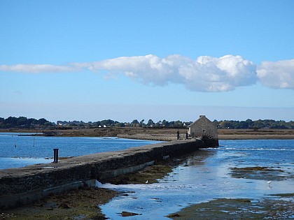 Sentiers de l'île d'Arz