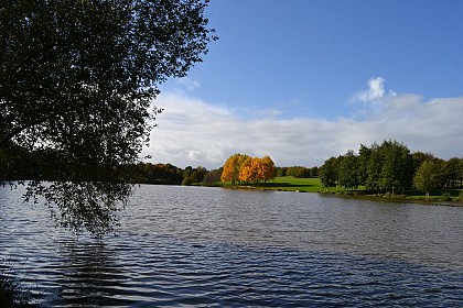 Circuit "Les Étangs" - GRANDCHAMPS-DES-FONTAINES