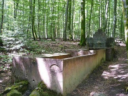 Source de l’aviere route
