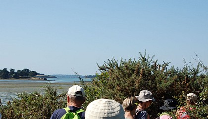Séné sentier des Gabelous