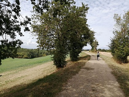 LA BOUCLE DES FILHOLS - VILLEMUR SUR TARN